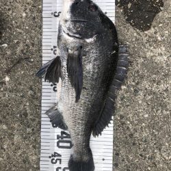 イチノ兄弟、釣果!