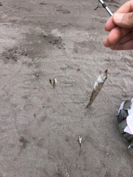 サーフからのキス