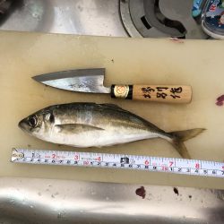 アジングは難しい