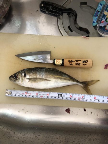 アジングは難しい