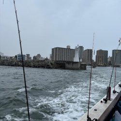 急に暴風　タコ渋い