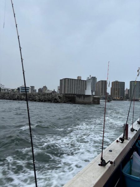 急に暴風　タコ渋い