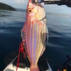 カヤックフィッシング