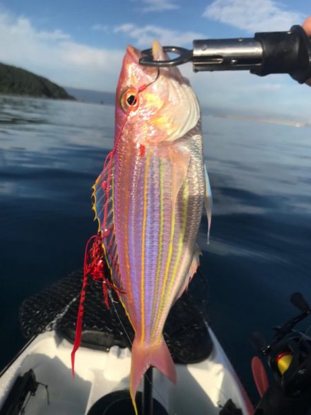 カヤックフィッシング