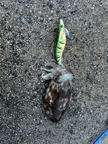 社員旅行中にて