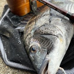 ヘチってきました