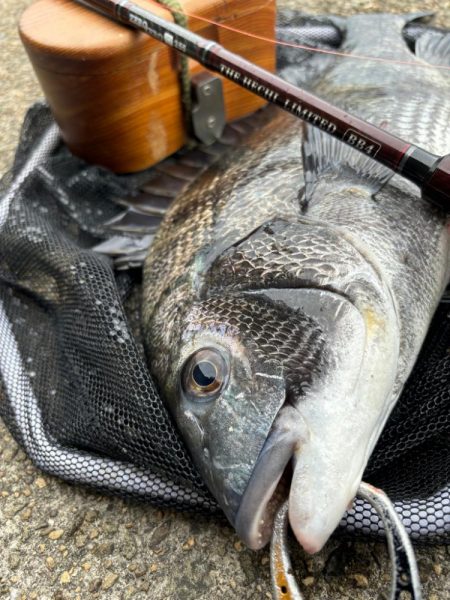 ヘチってきました