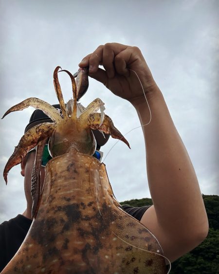 久しぶりの朝マズメ