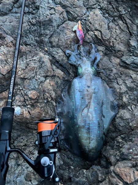 サクッと朝マヅメのみ短時間勝負