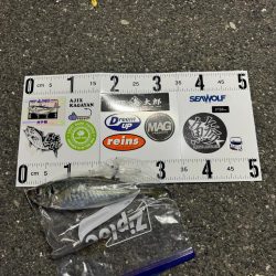 ロックアジング