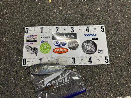 ロックアジング