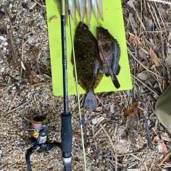 キス狙いで多彩&嬉しいゲスト