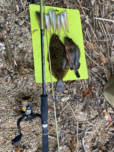 キス狙いで多彩&嬉しいゲスト