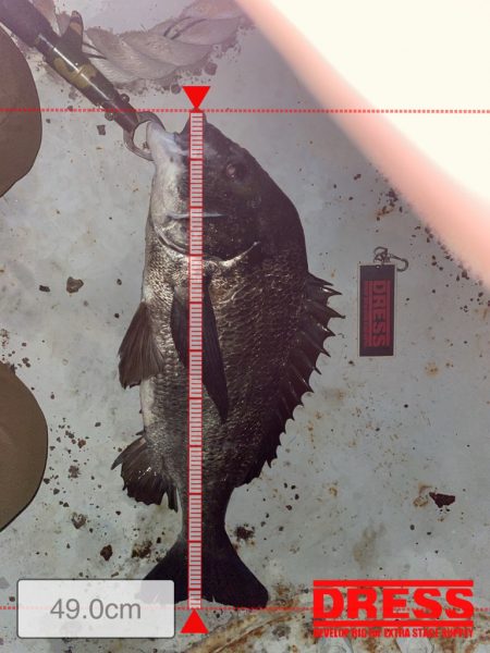 涼しいけど、投げづらい