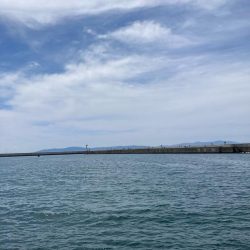 シロギス釣行！