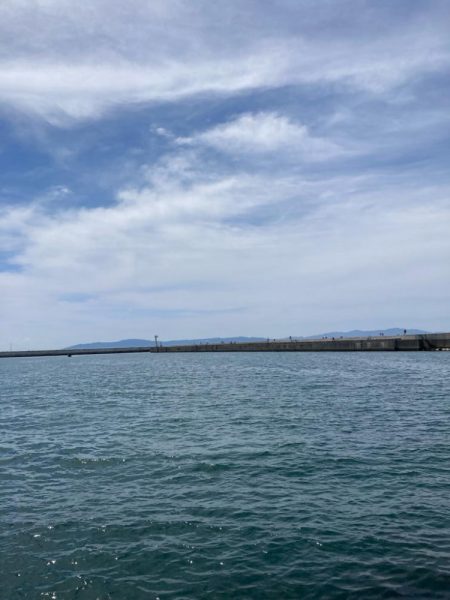 シロギス釣行！