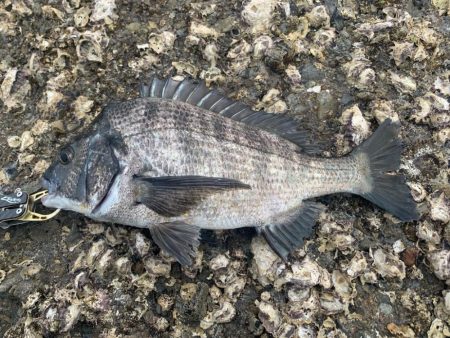 久しぶりの磯釣り
