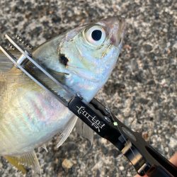 出勤時間遅め( ・∇・)