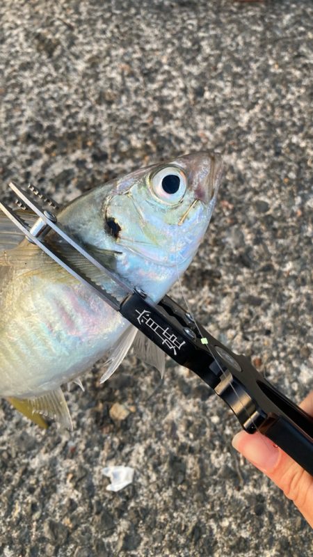 出勤時間遅め( ・∇・)