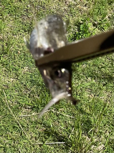 ジグ単de〜アジング♪考えすぎ?