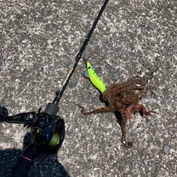 ⭐️サイズアップ求めて