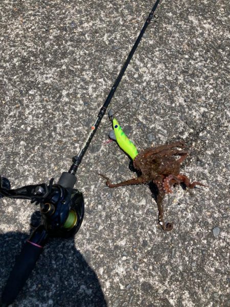 ⭐️サイズアップ求めて