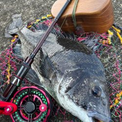 ヘチってきました