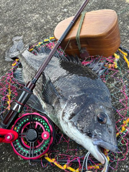 ヘチってきました