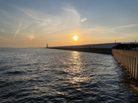 今年はやや遅れ気味?