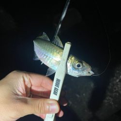 地底湖から覗く目