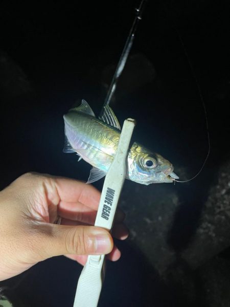 地底湖から覗く目