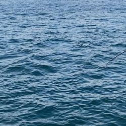 暑すぎ注意|(￣3￣)|