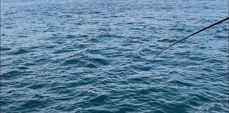 暑すぎ注意|(￣3￣)|