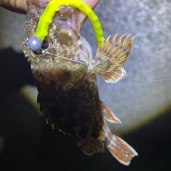 ドン引きする程の激渋