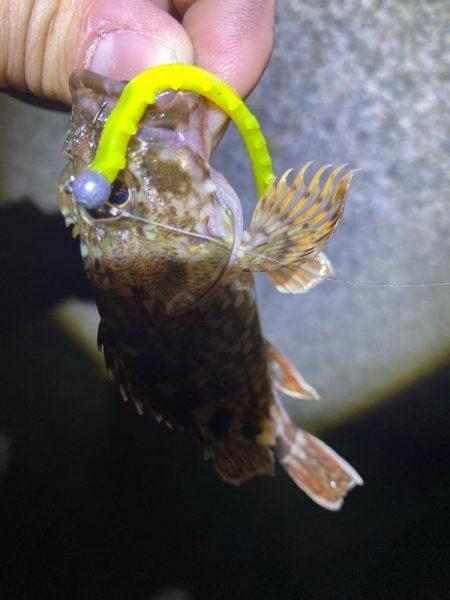 ドン引きする程の激渋