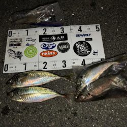 ロックアジング