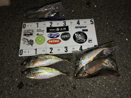 ロックアジング