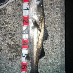 2024ライトゲーム第21戦