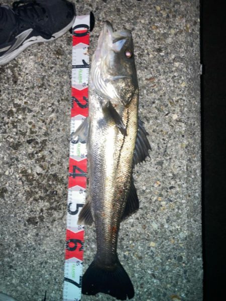 2024ライトゲーム第21戦