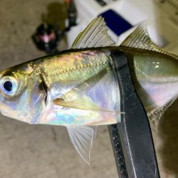 A地点〜B地点へ、ランガン🎣