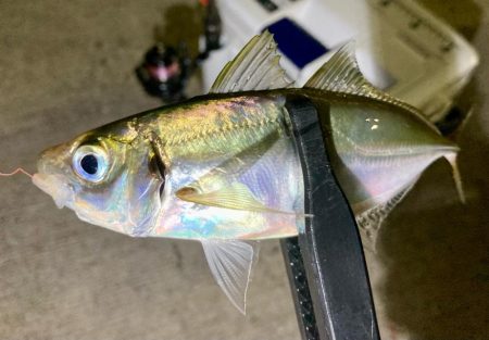 A地点〜B地点へ、ランガン🎣…