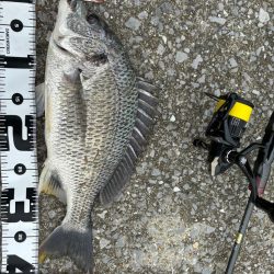 6月6日大潮チニング