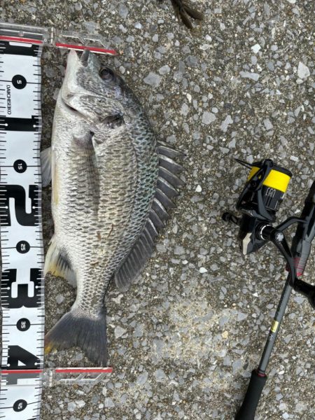 6月6日大潮チニング