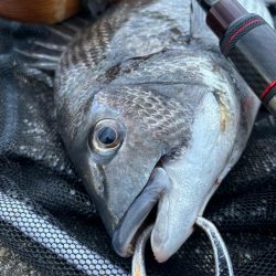 ヘチってきました