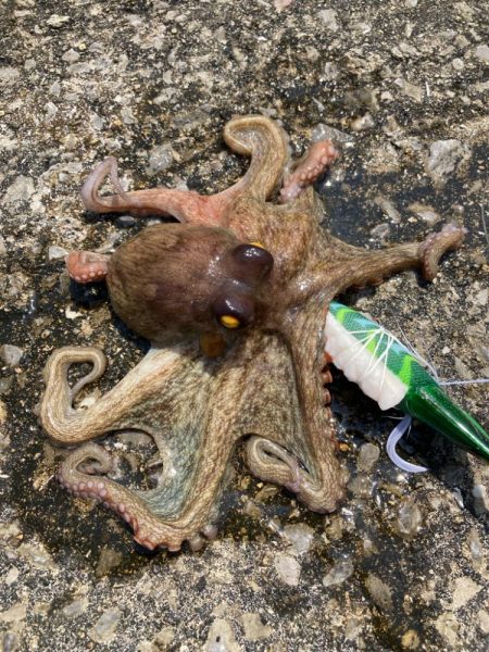 ⭐️擦られすぎ…