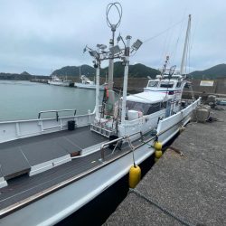 バチコンゲームを堪能