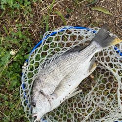 雨の中のチニング！