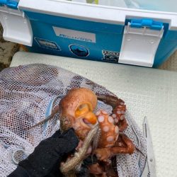 型が揃ってきました