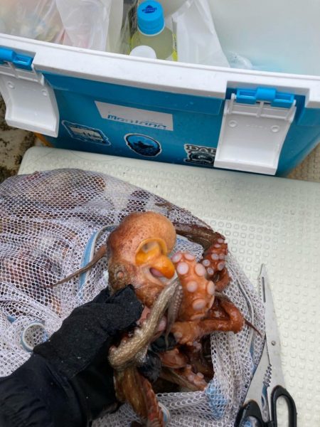 型が揃ってきました