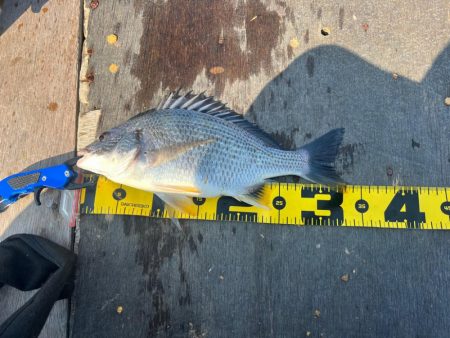 帽子は忘れずに